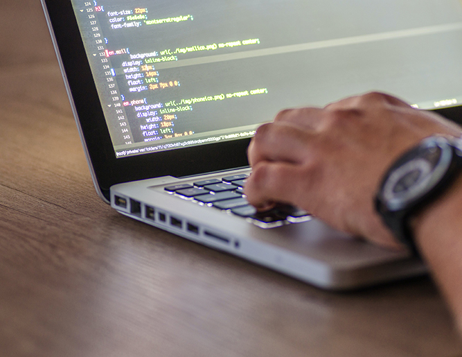 WordPress-Development